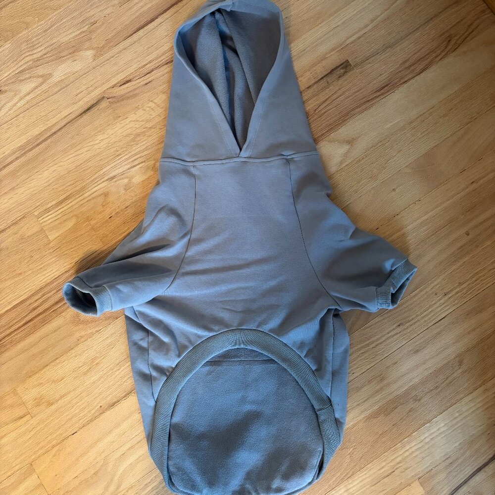 Soft Blue Dog Hoodie